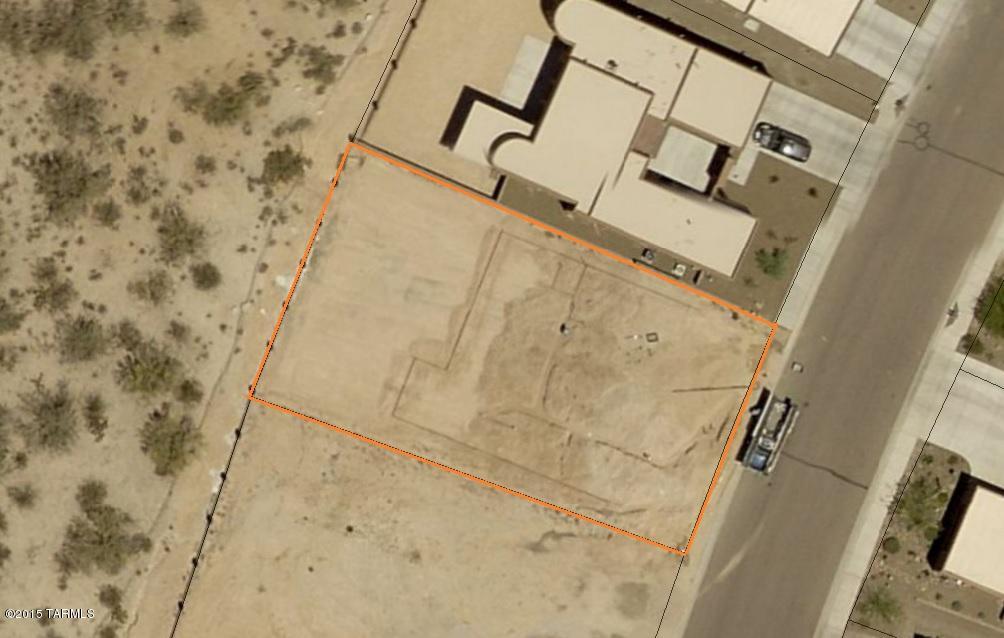 12295 N Sunrise Shadow Drive