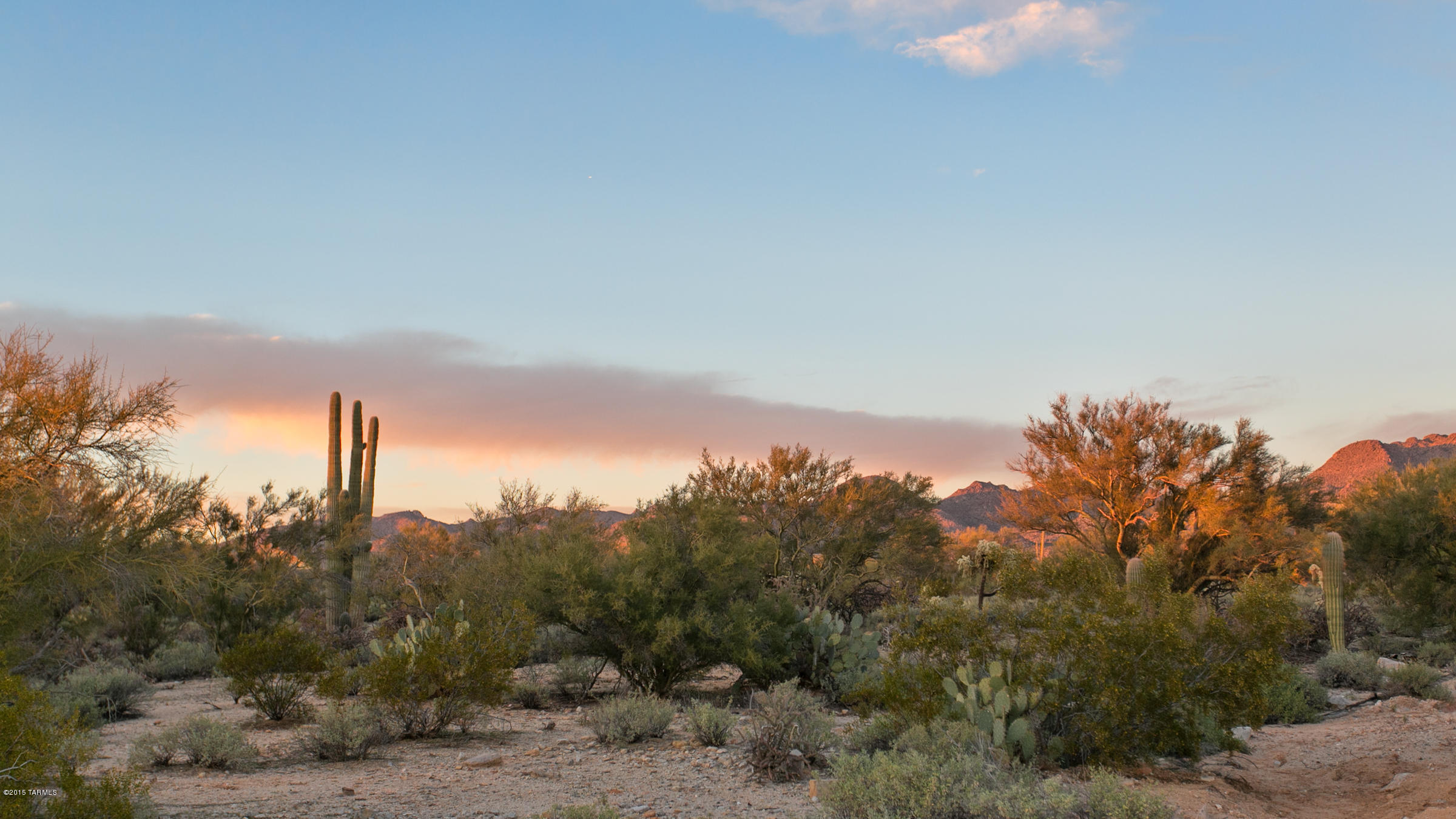 12295 N Sunrise Shadow Drive