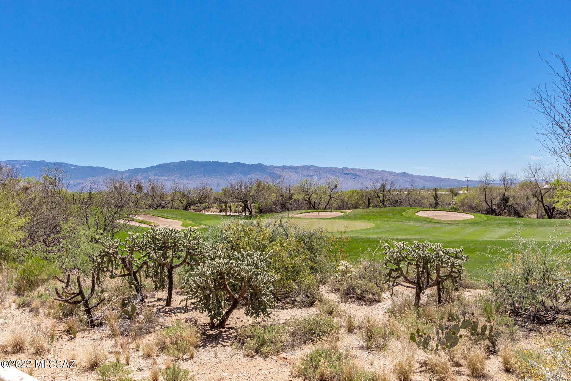 5069 N Pinnacle Cove Drive
