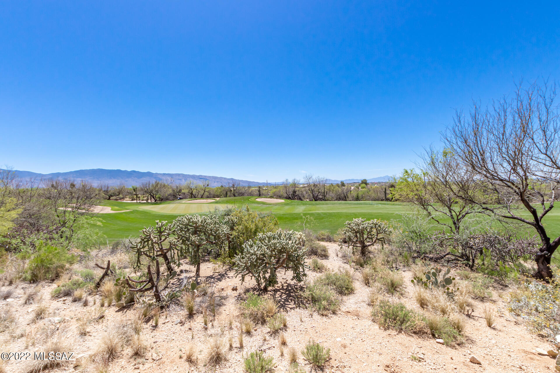 5069 N Pinnacle Cove Drive