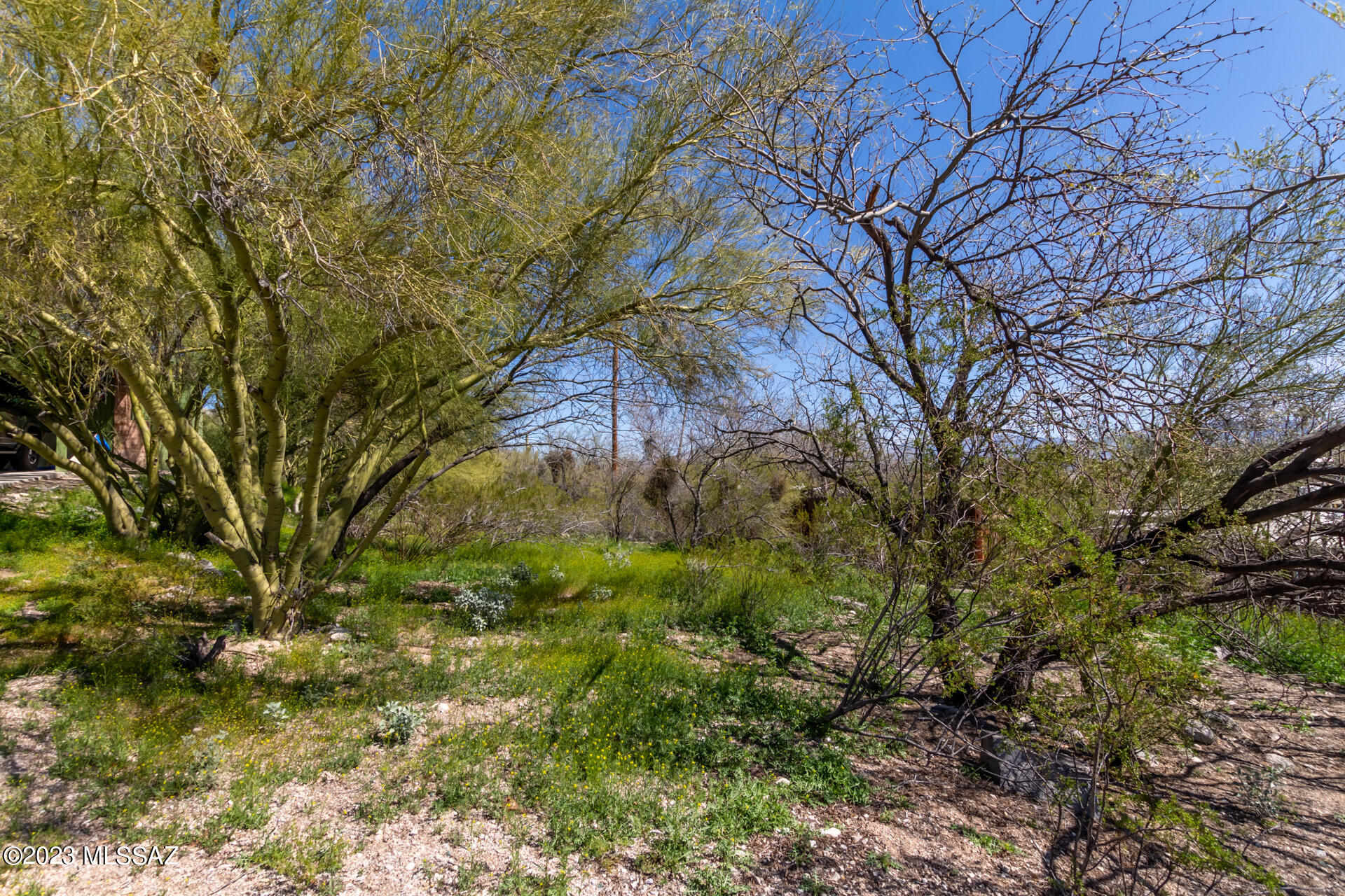8935 E Driftwood Trail