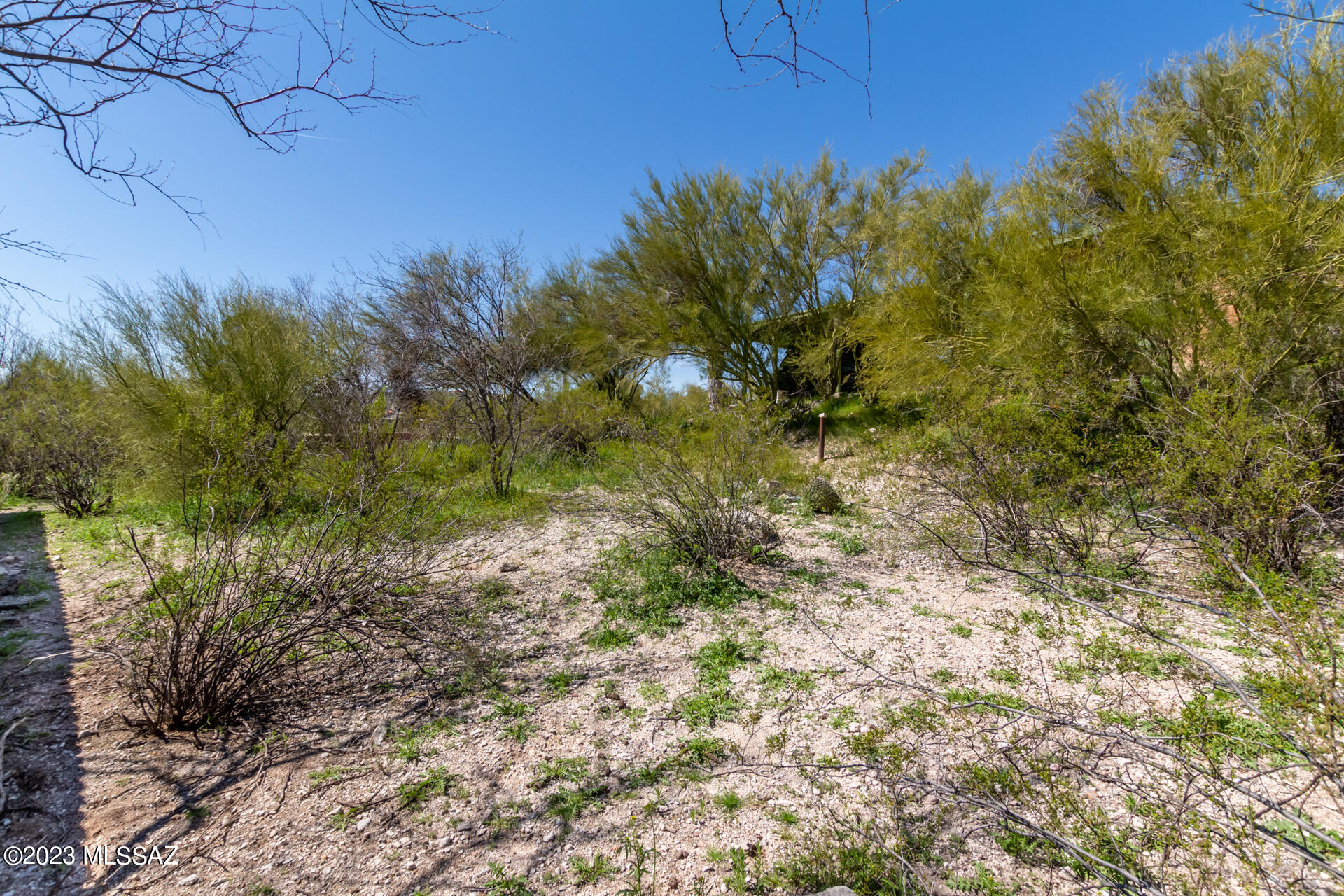 8935 E Driftwood Trail