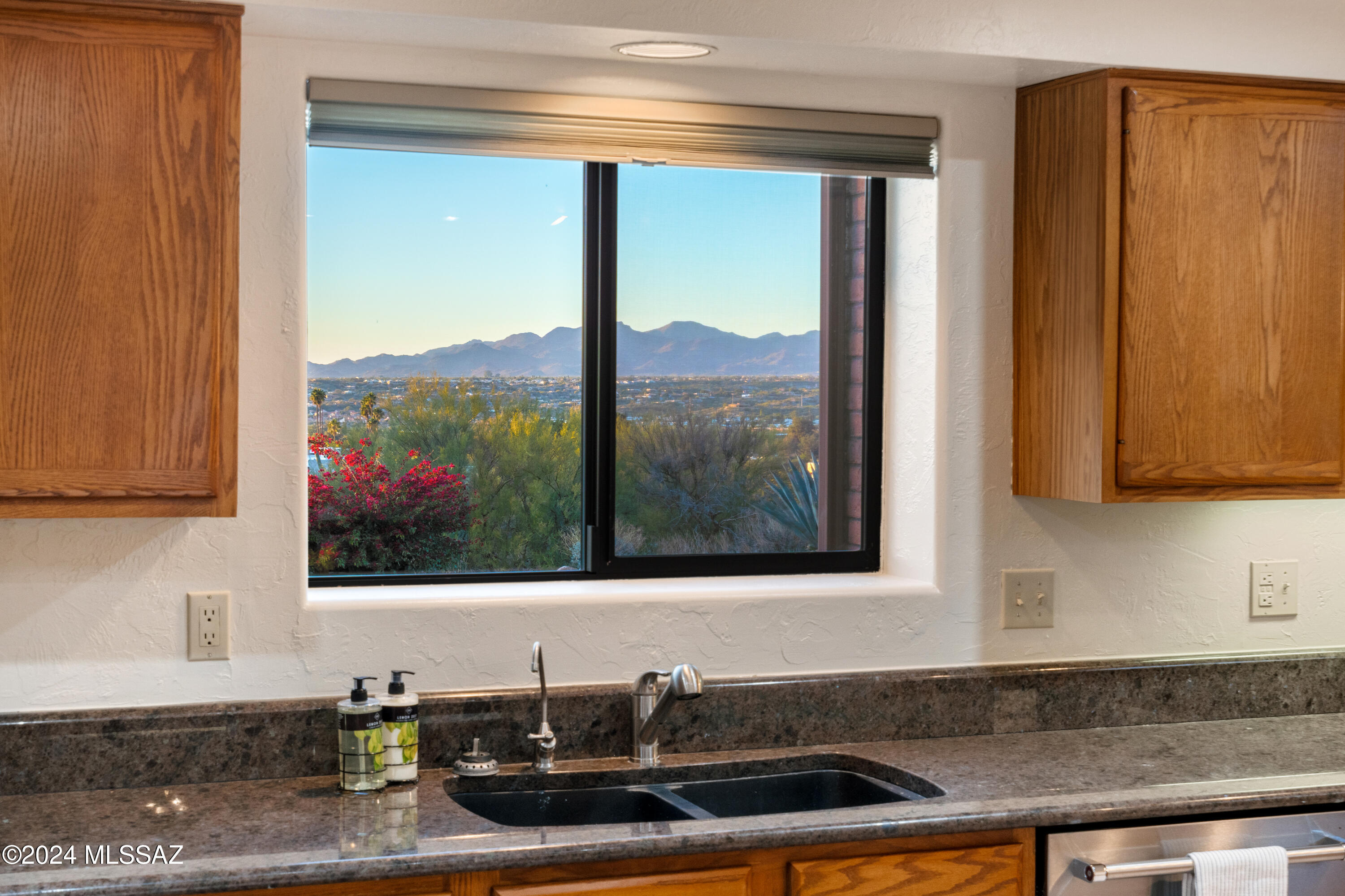 1060 E Canada Vista Place