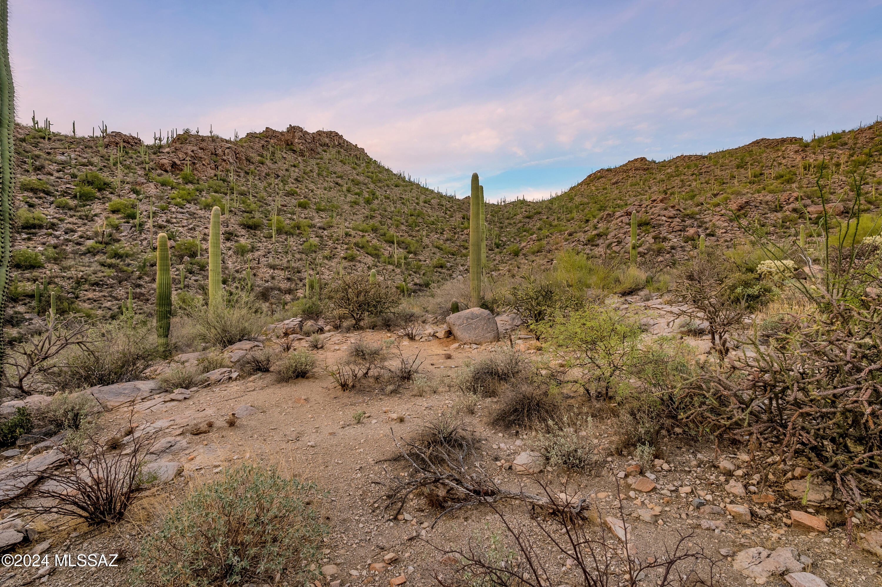 5282 W Gallery Canyon Place Unit: 7