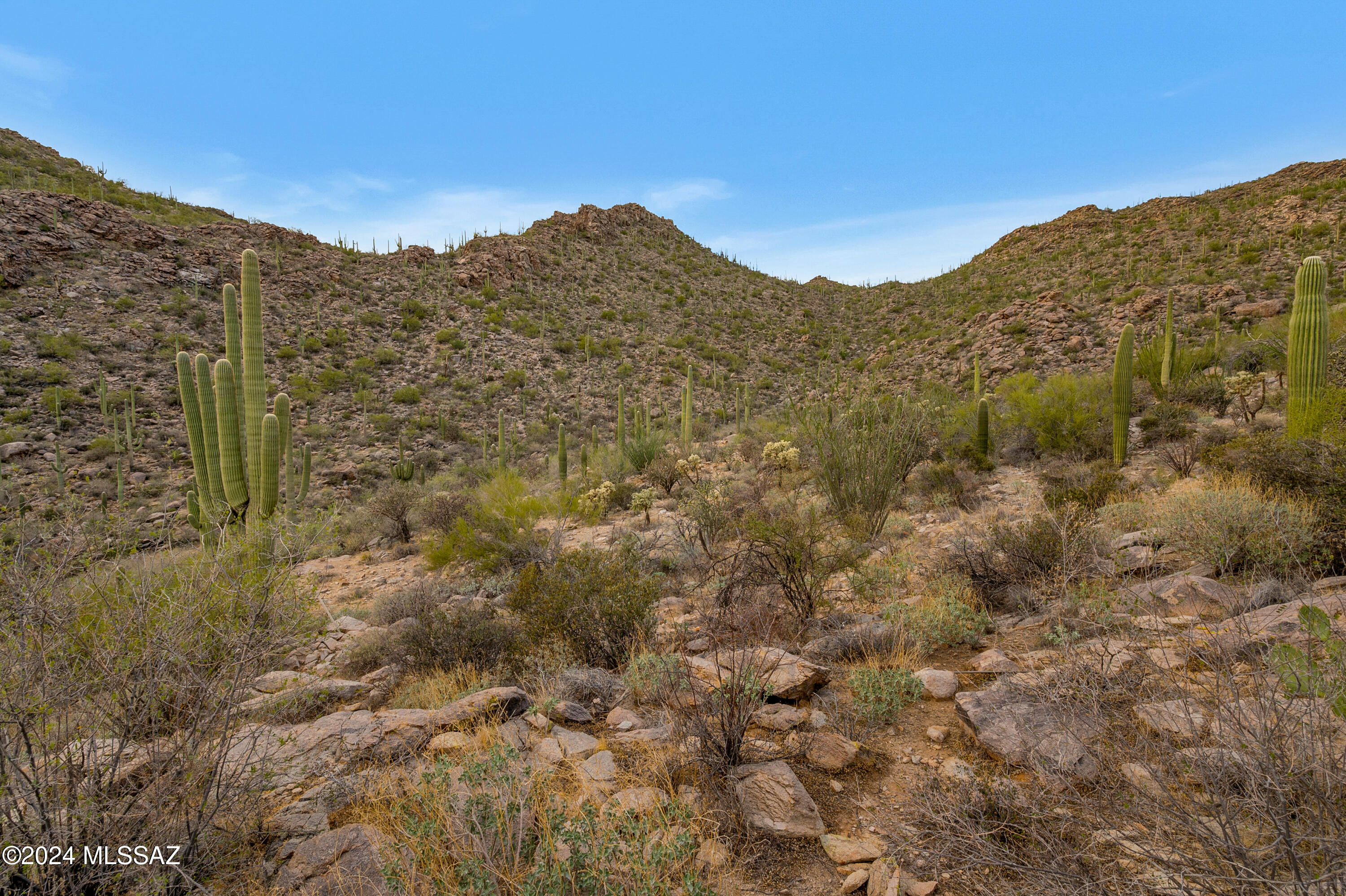 5282 W Gallery Canyon Place Unit: 7