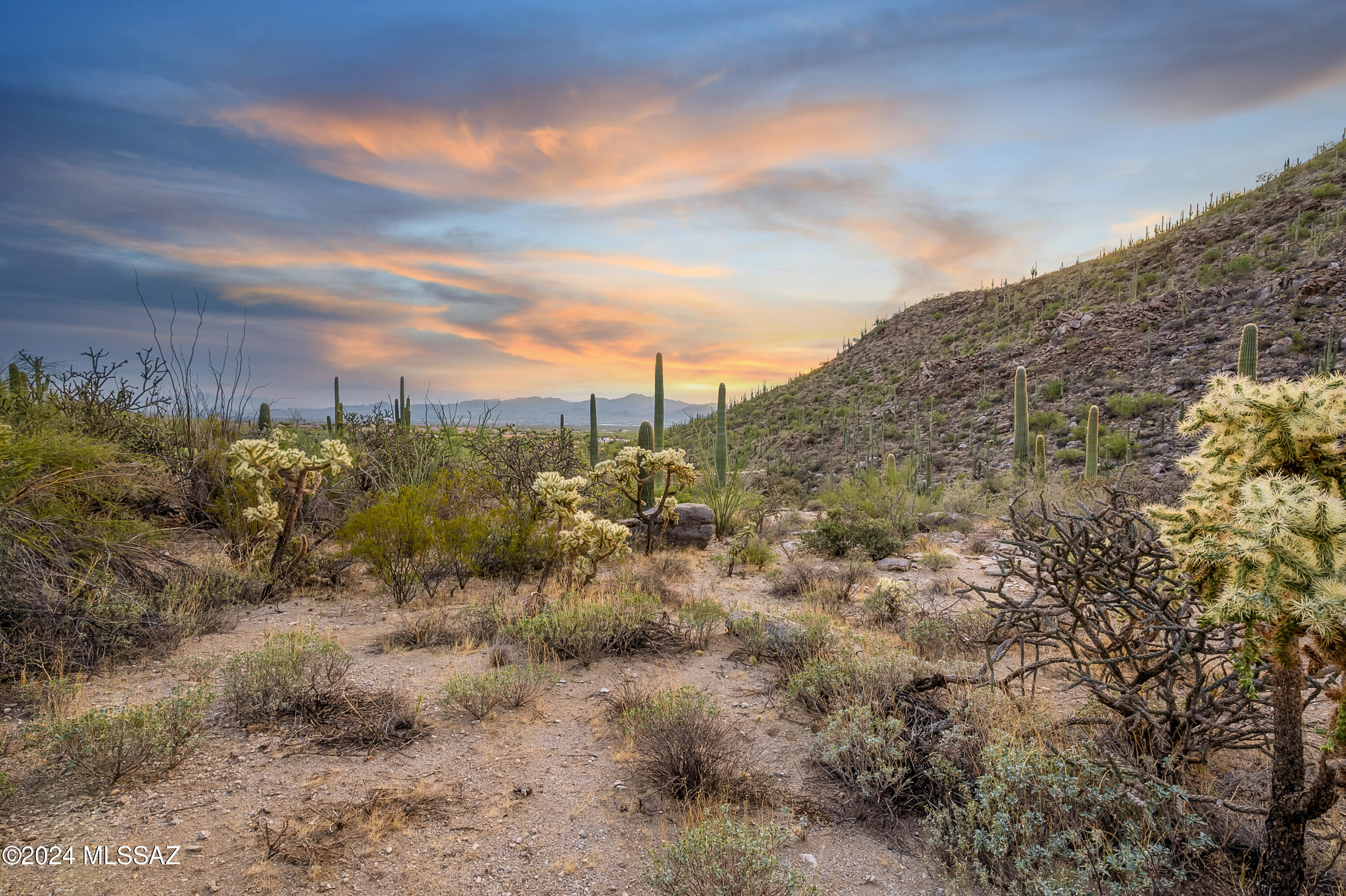 5282 W Gallery Canyon Place Unit: 7