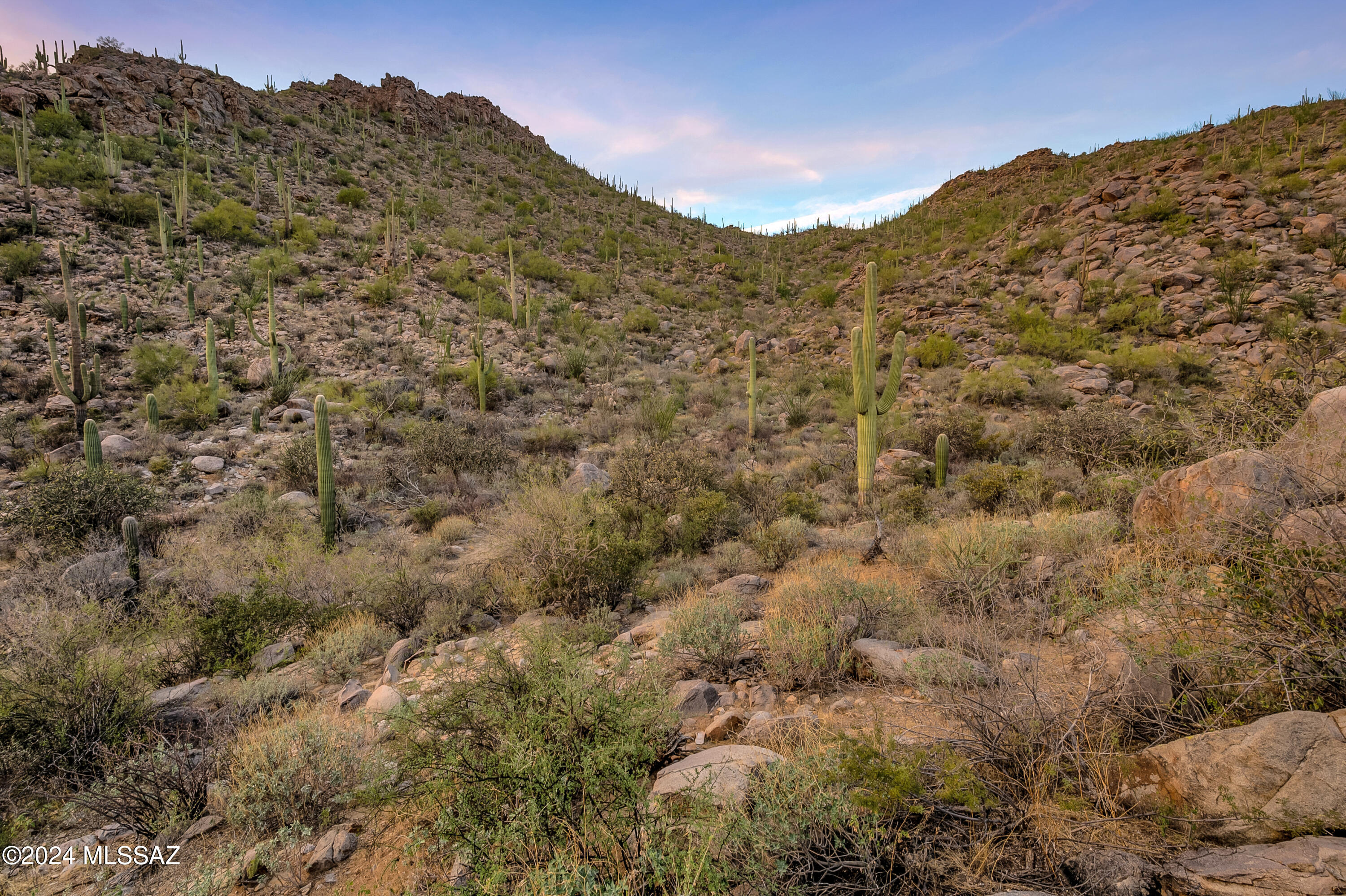 5282 W Gallery Canyon Place Unit: 7