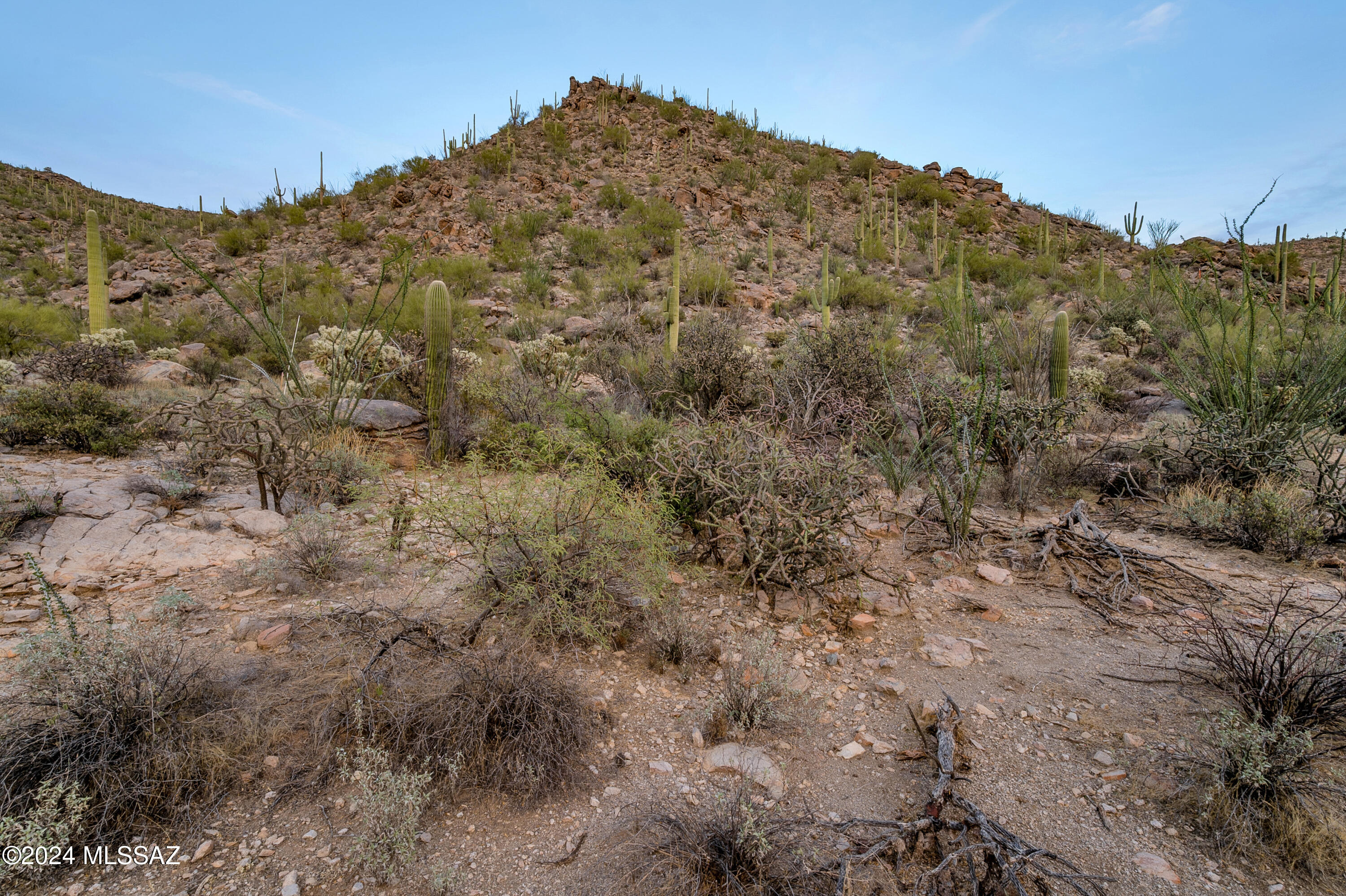 5282 W Gallery Canyon Place Unit: 7