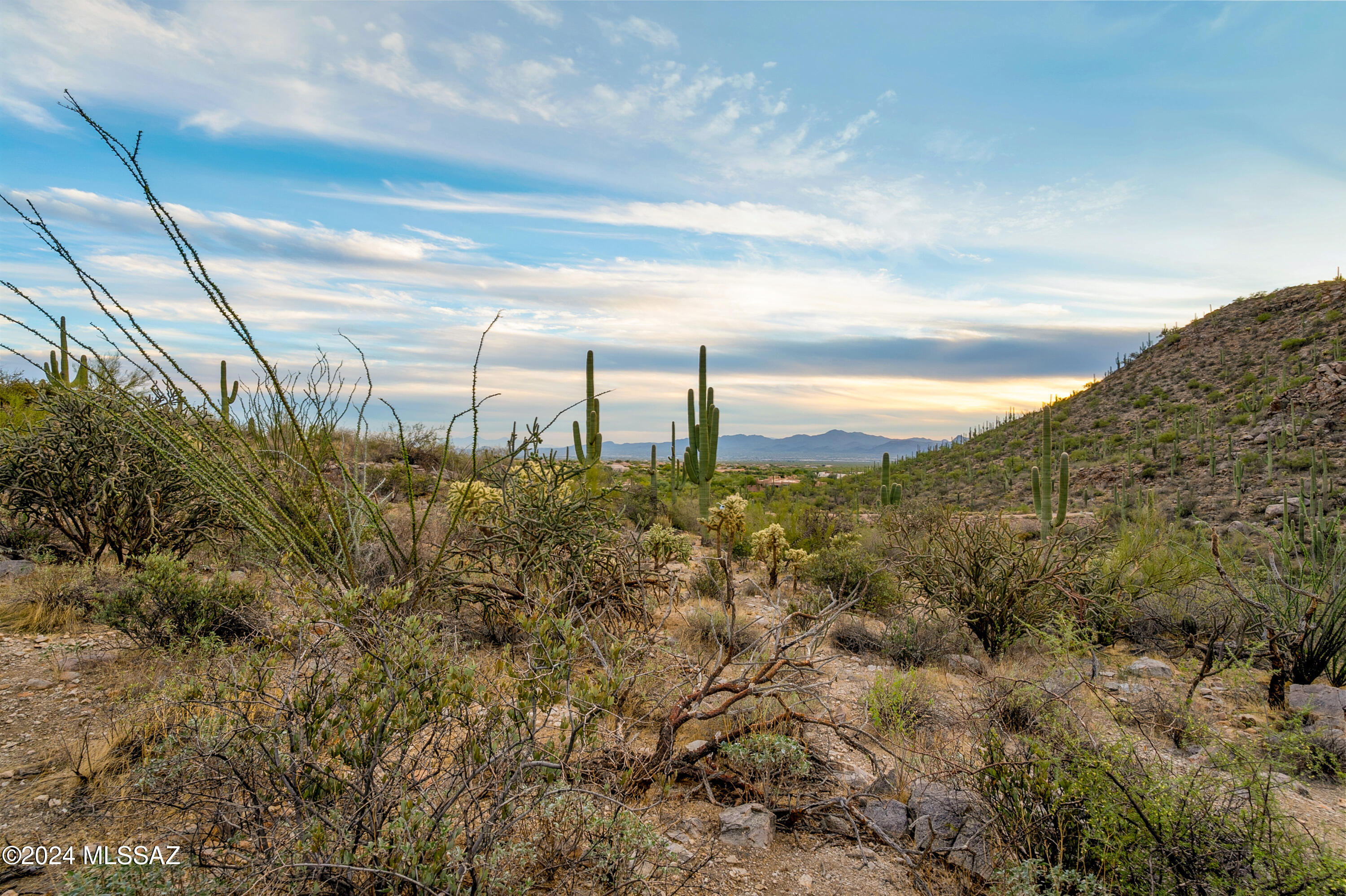 5282 W Gallery Canyon Place Unit: 7