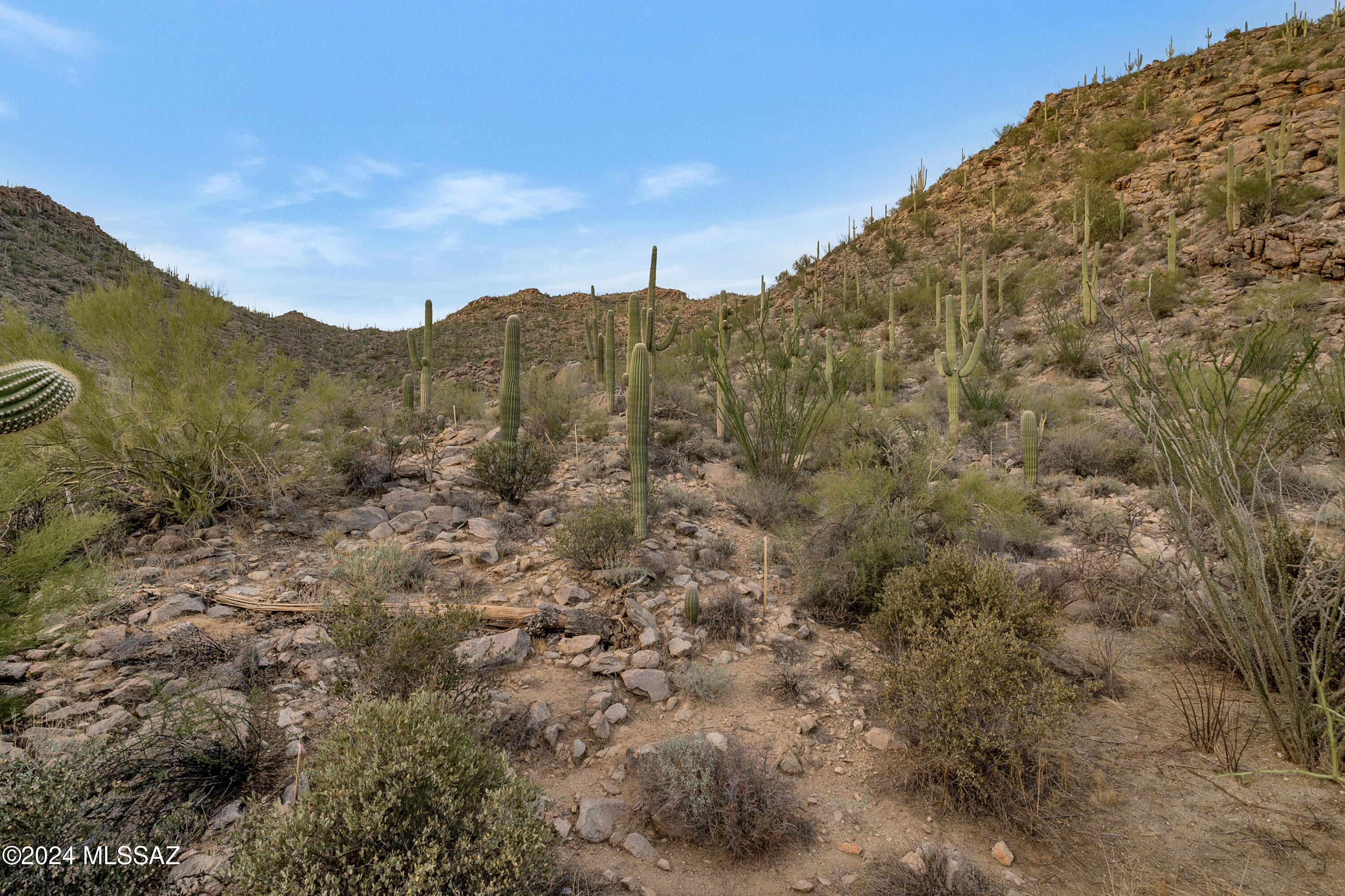 5282 W Gallery Canyon Place Unit: 7