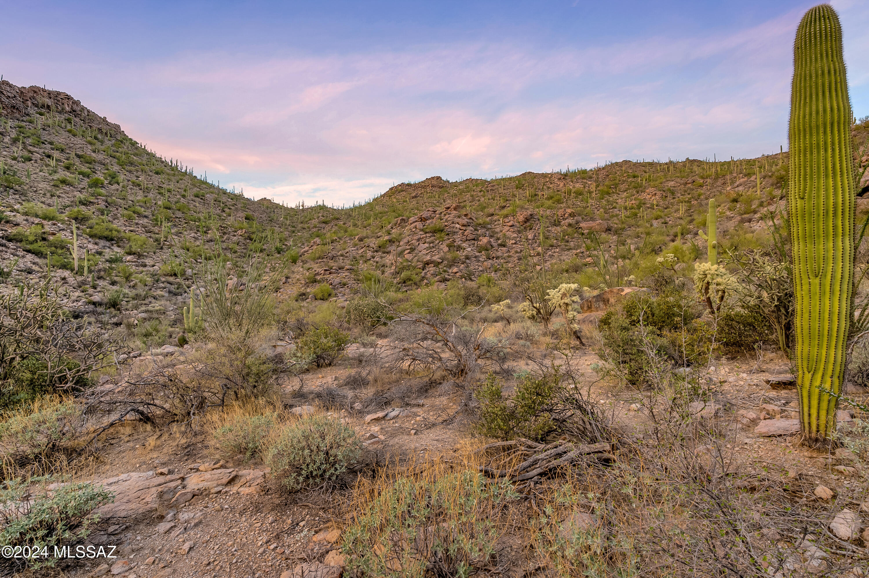 5282 W Gallery Canyon Place Unit: 7