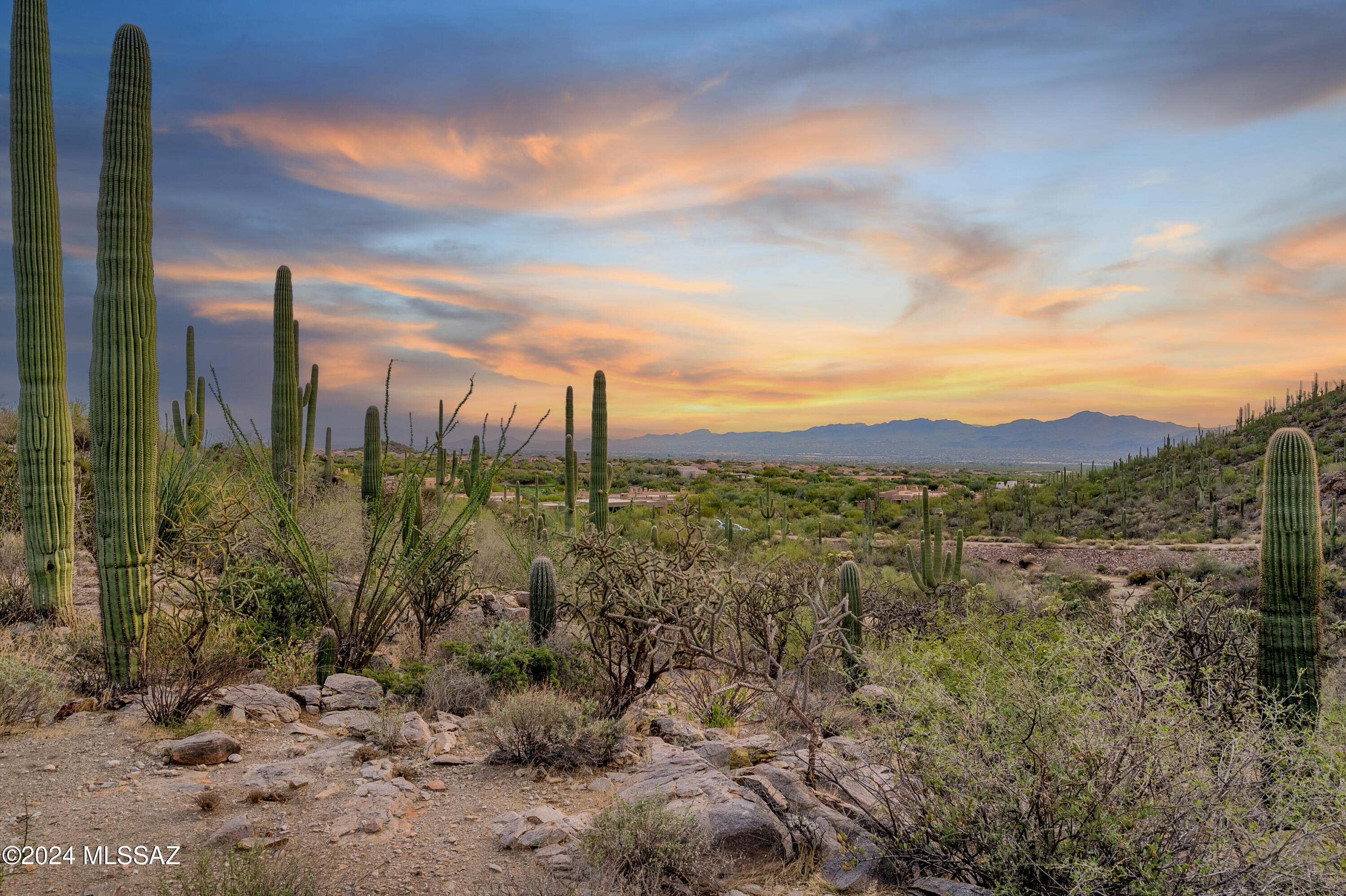 5282 W Gallery Canyon Place Unit: 7