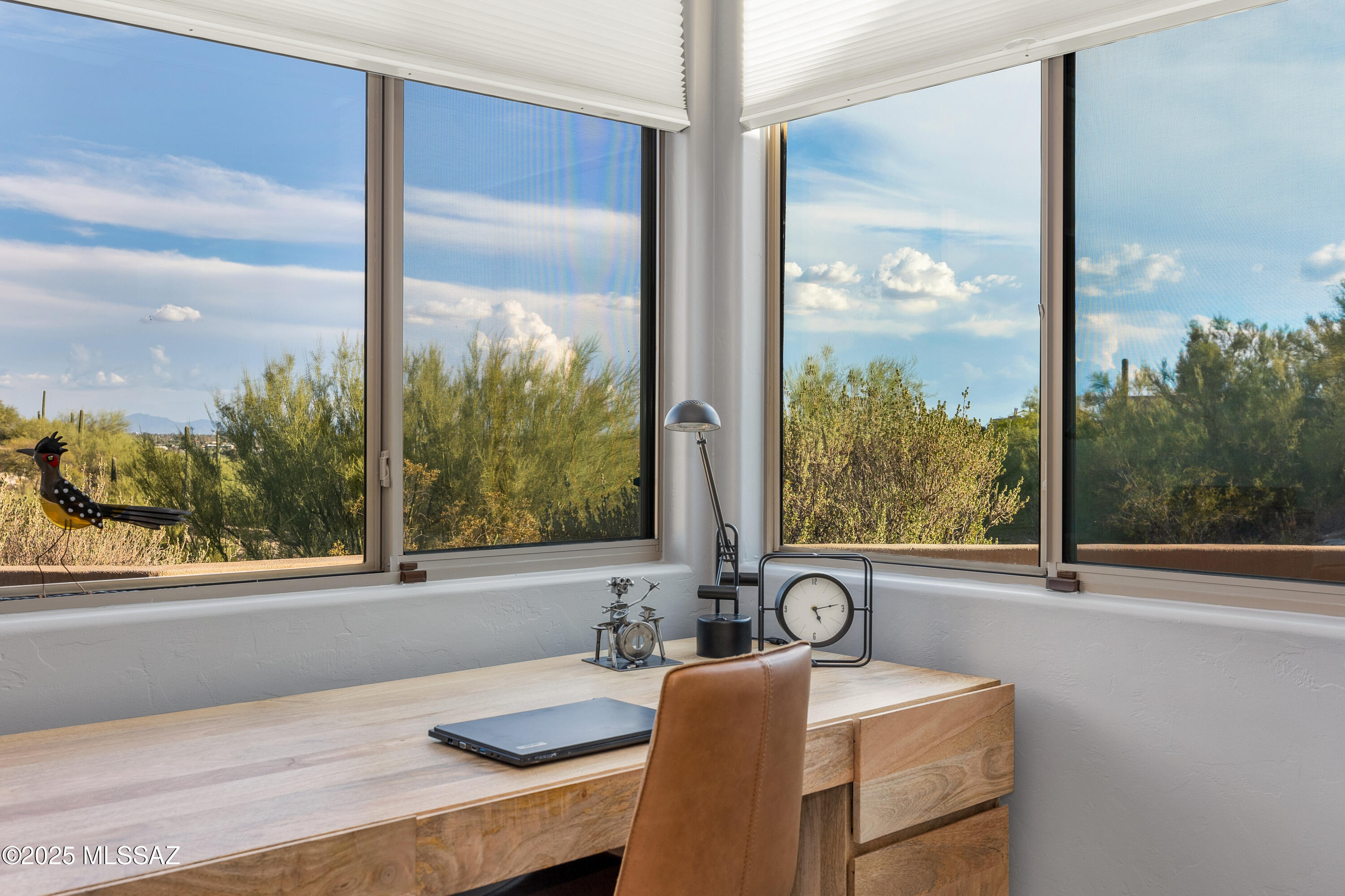 4239 N Placita De Sandra