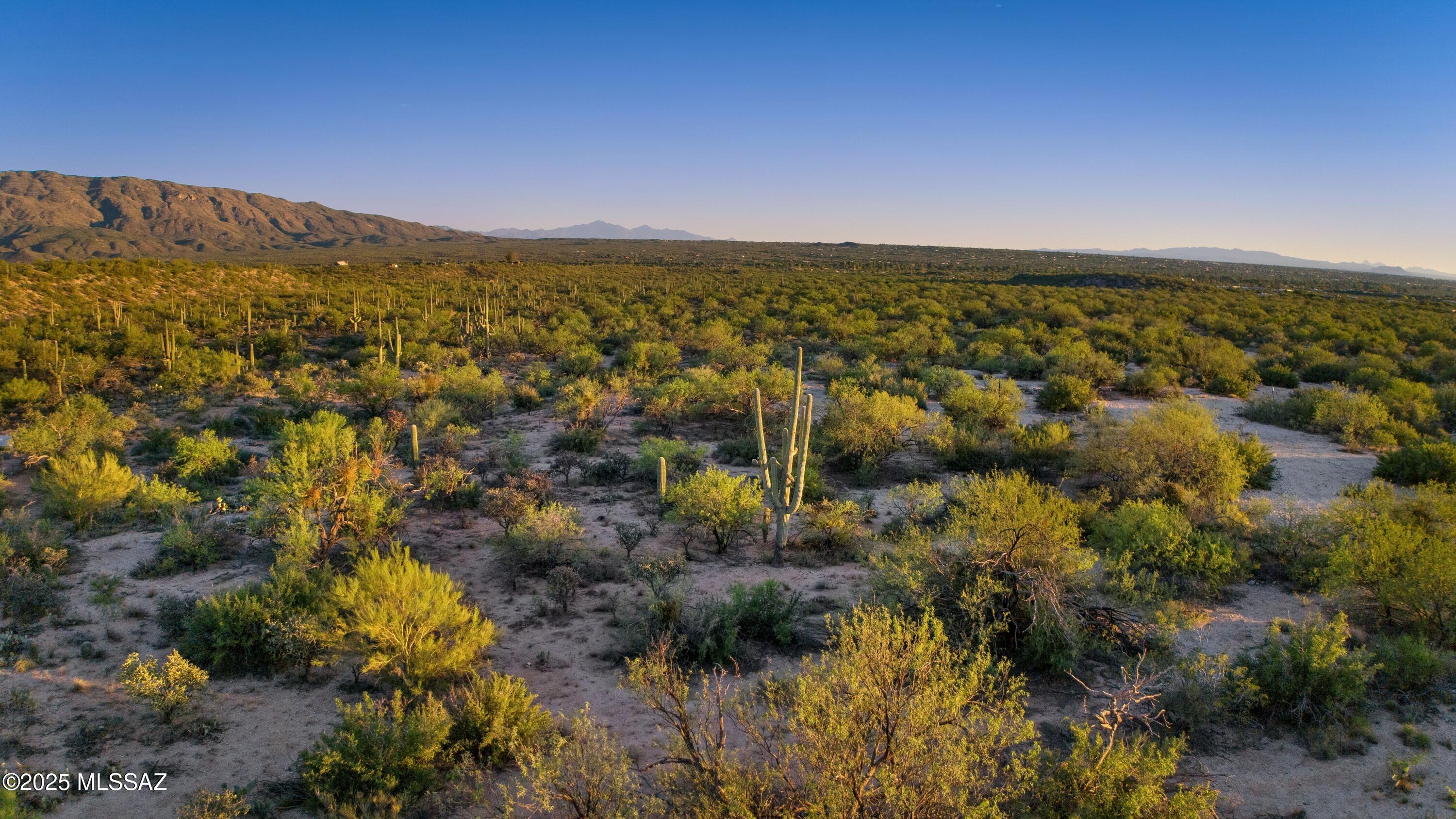 13030 E Camino Ancho