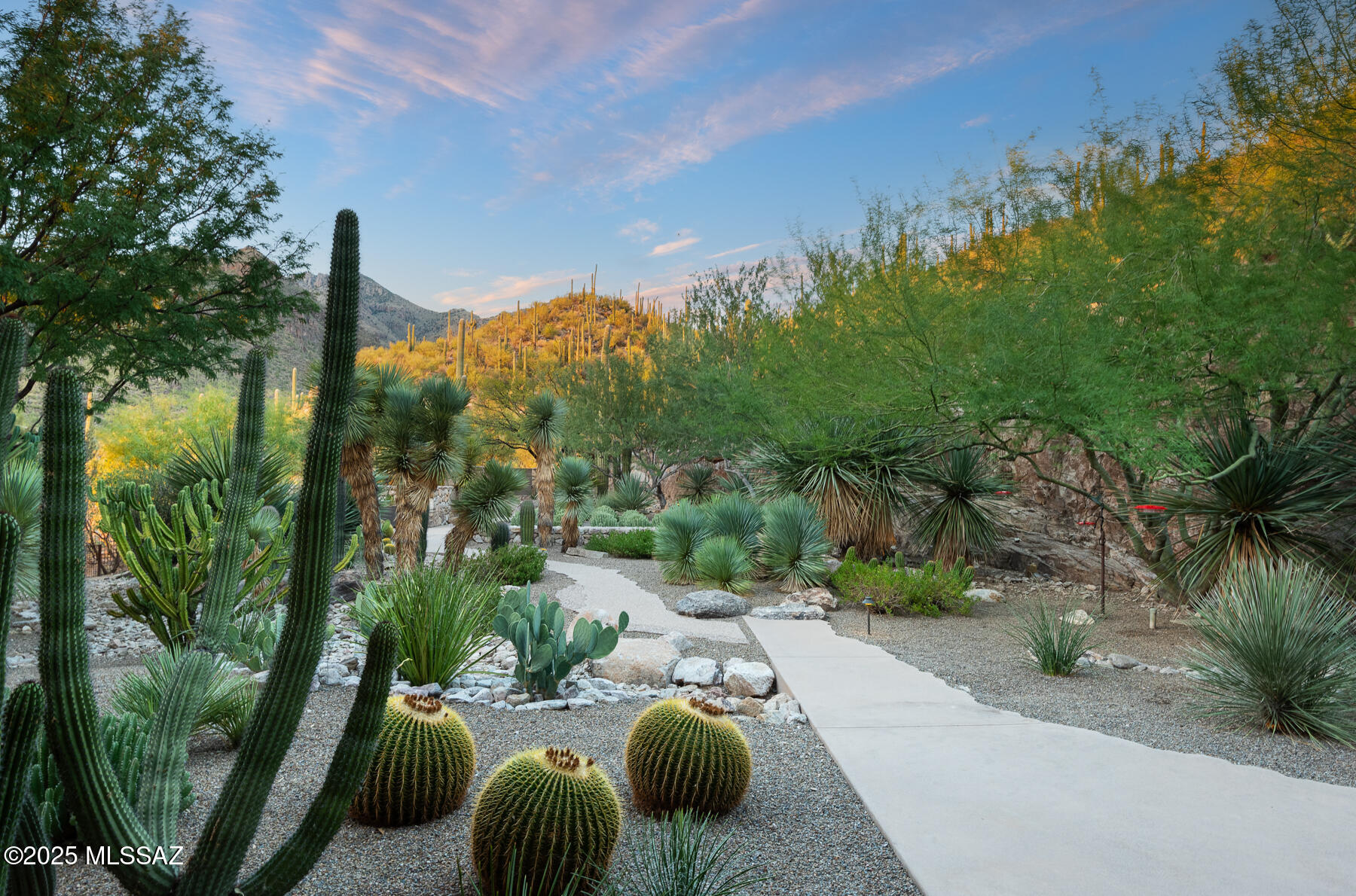 6452 N Rattlesnake Canyon Road