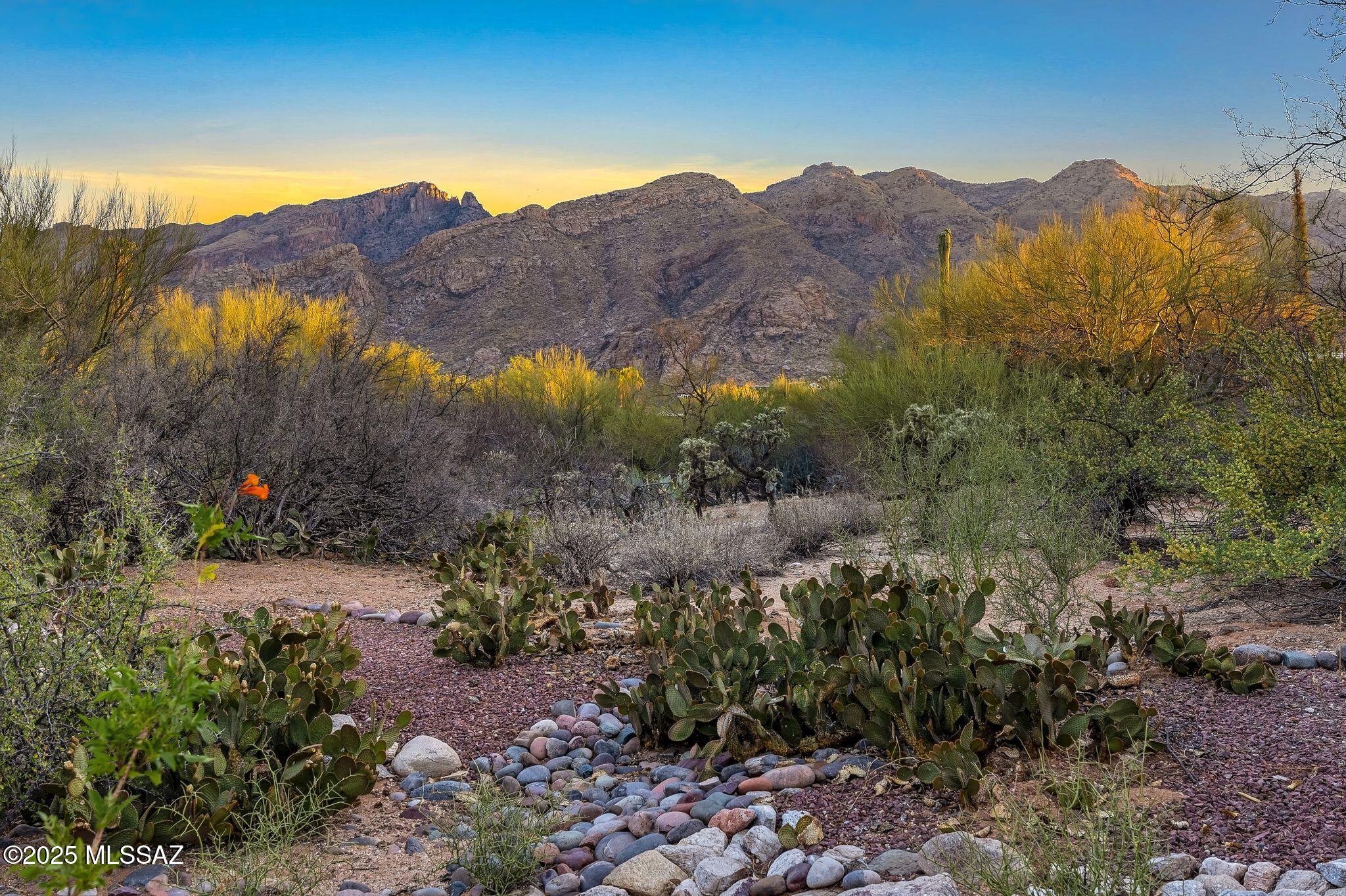 4921 E Camino De Los Olivos