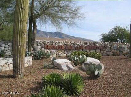 4921 E Camino De Los Olivos