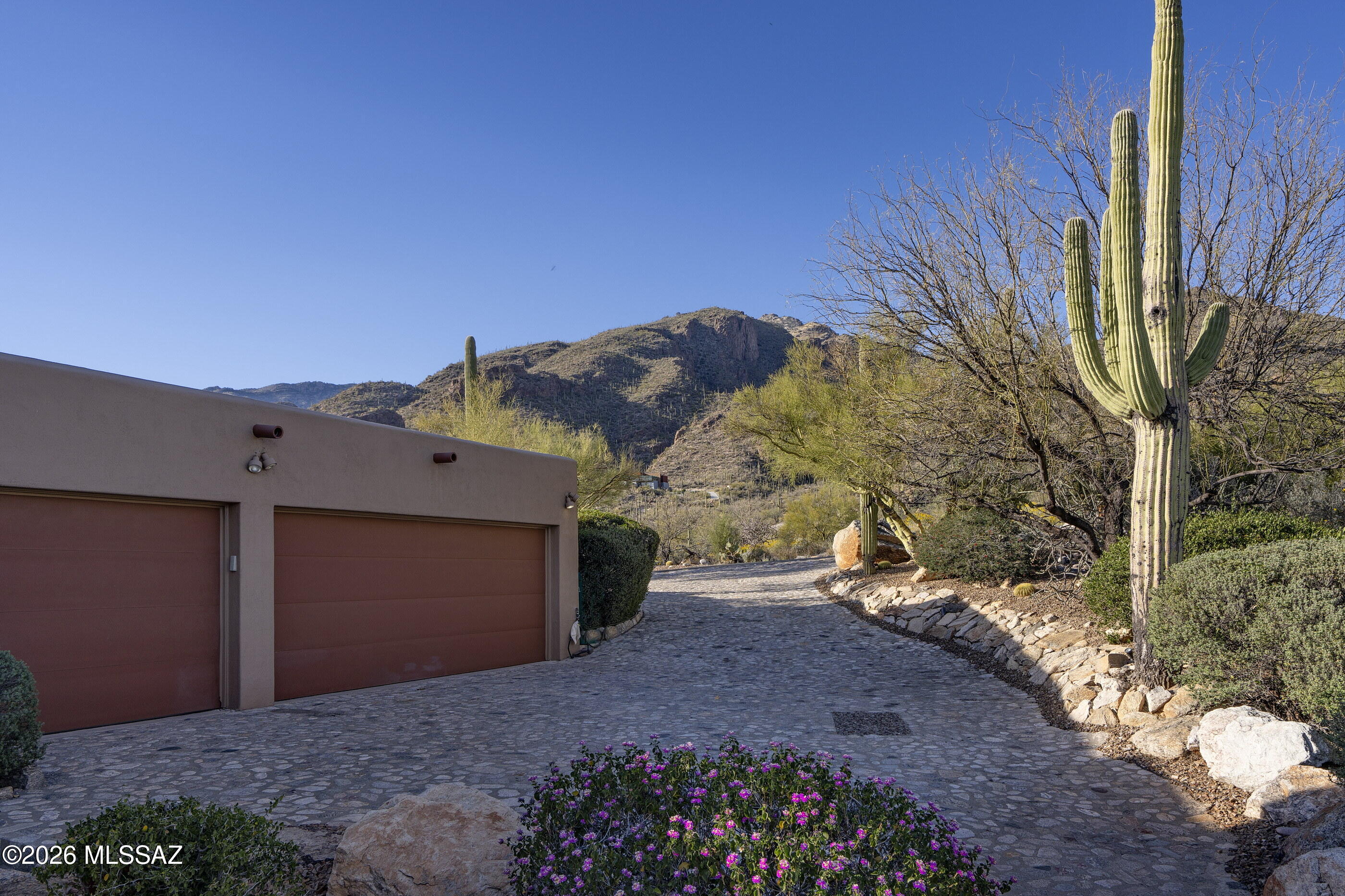 6361 N Canon Del Pajaro