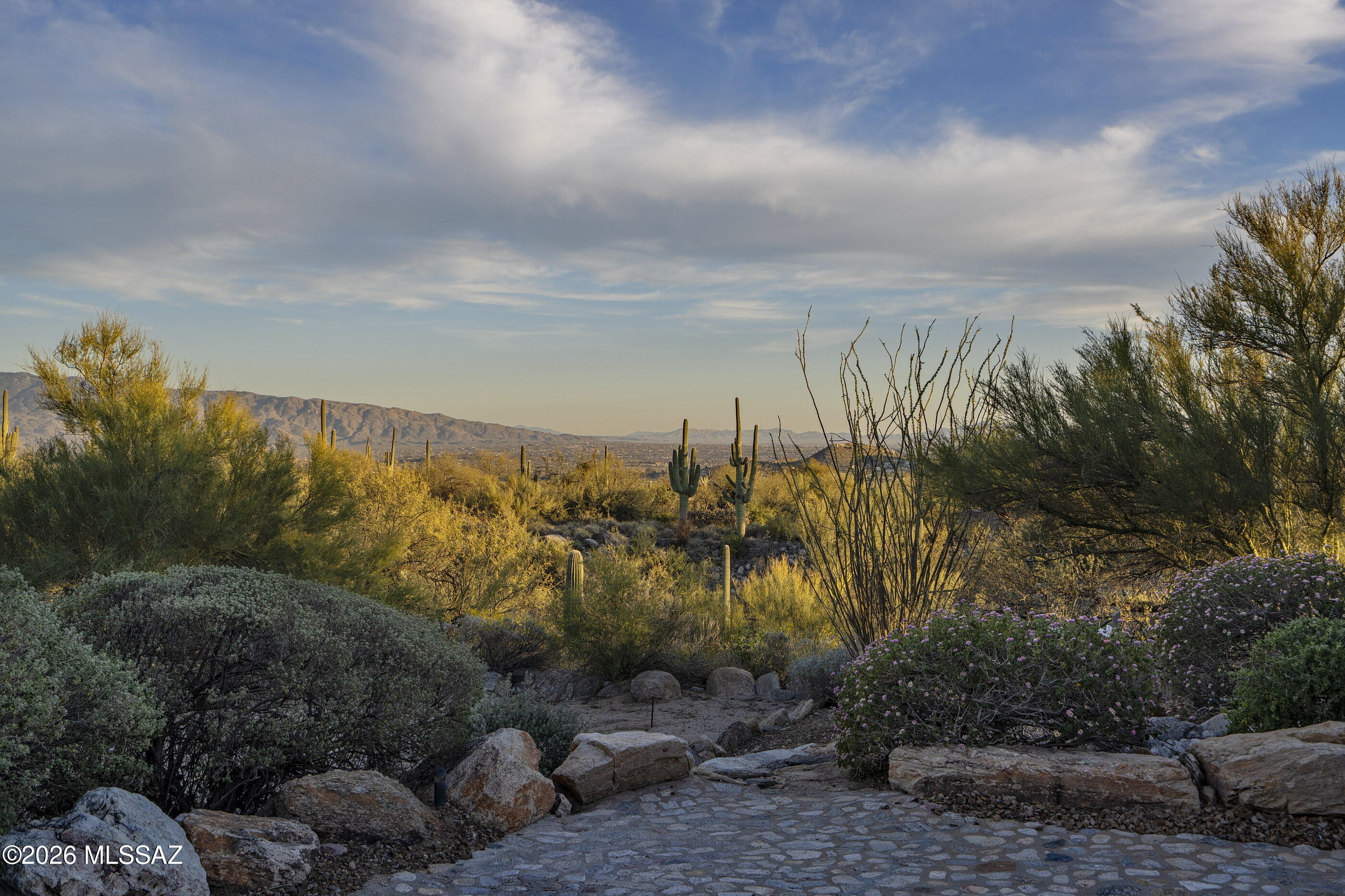 6361 N Canon Del Pajaro