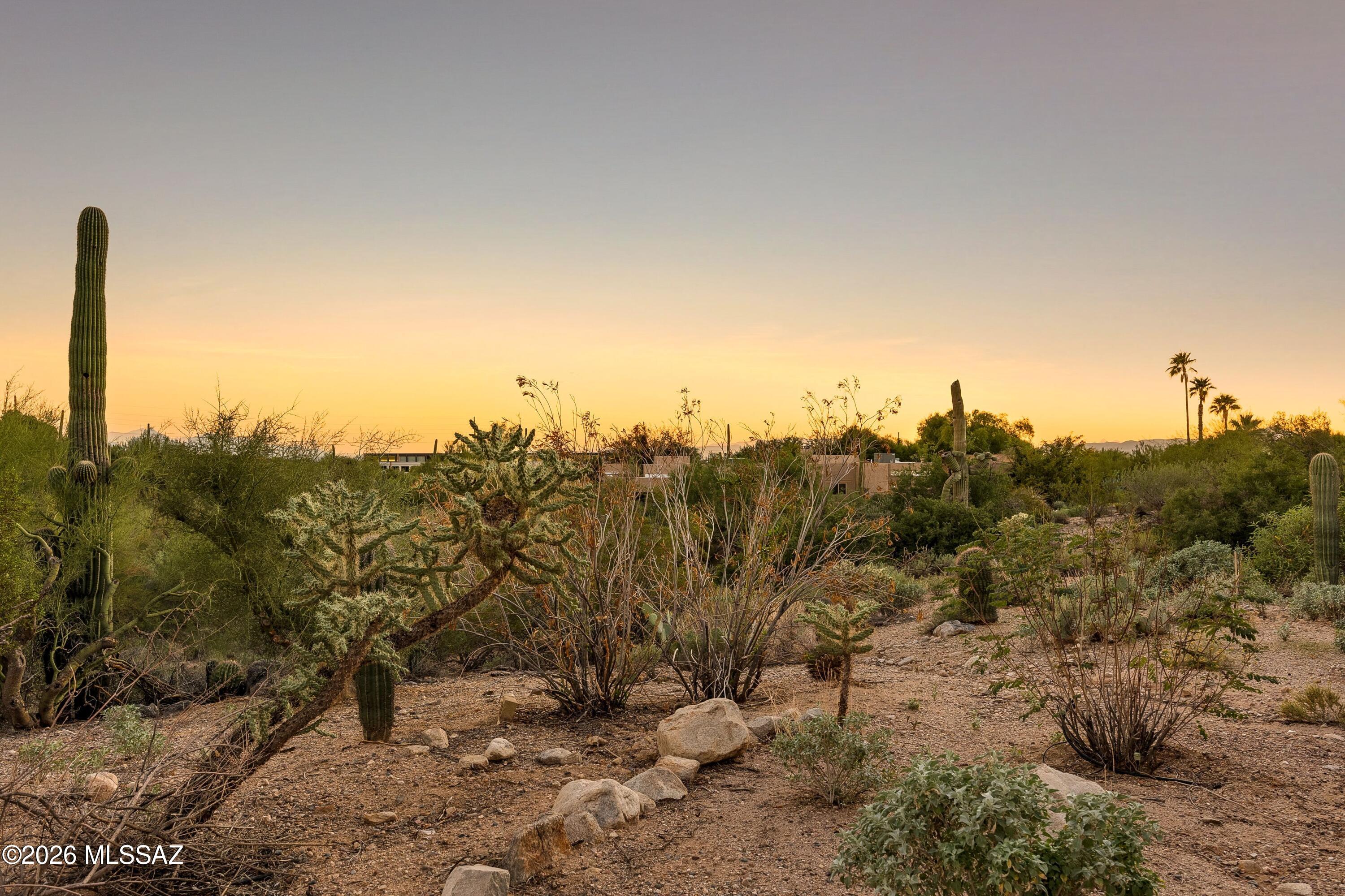6524 N Foothills Drive
