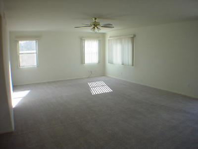 12877 N MEADVIEW Way