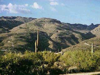 Private Address