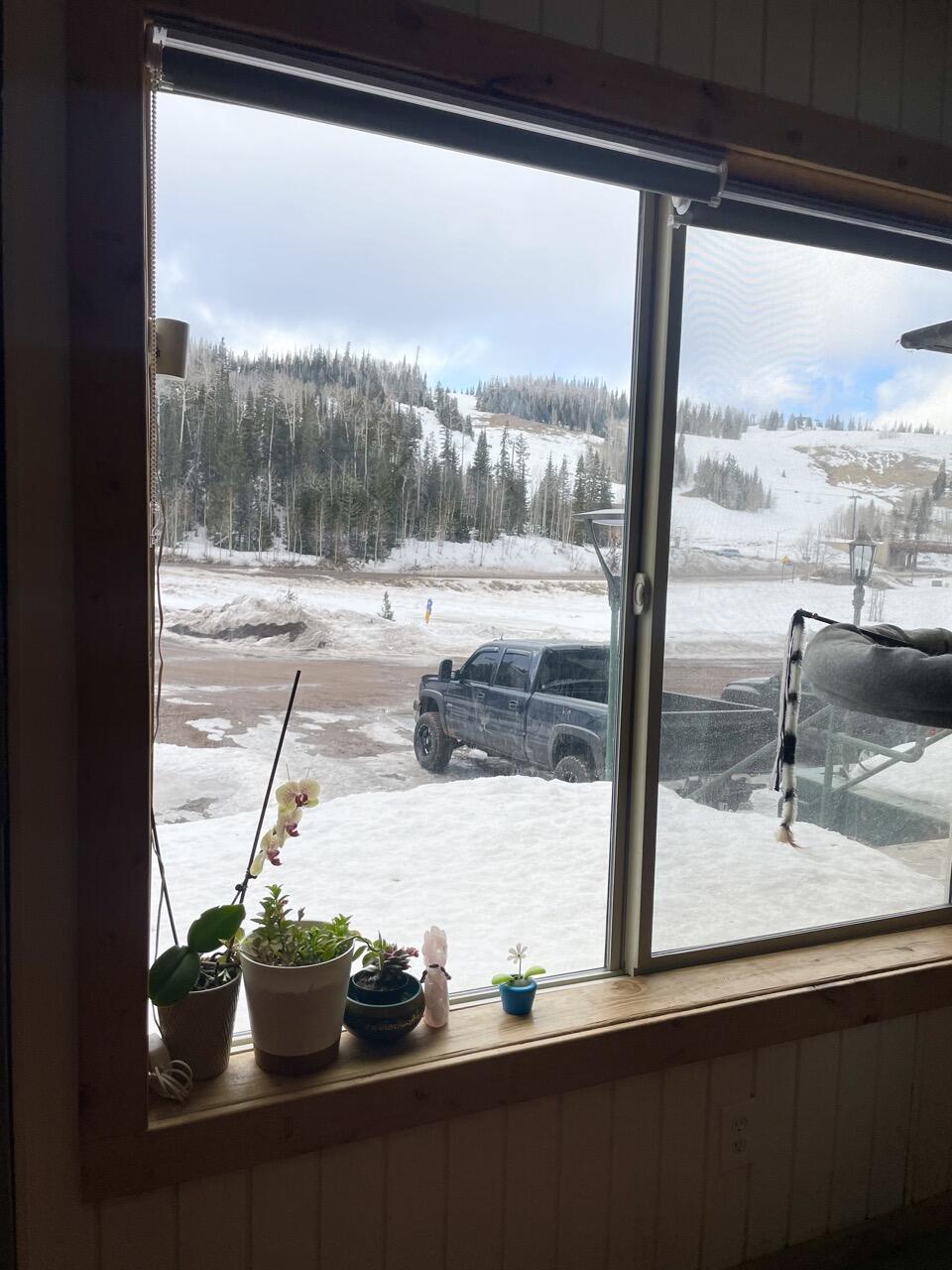 651 S Snowflake LN Unit: #106