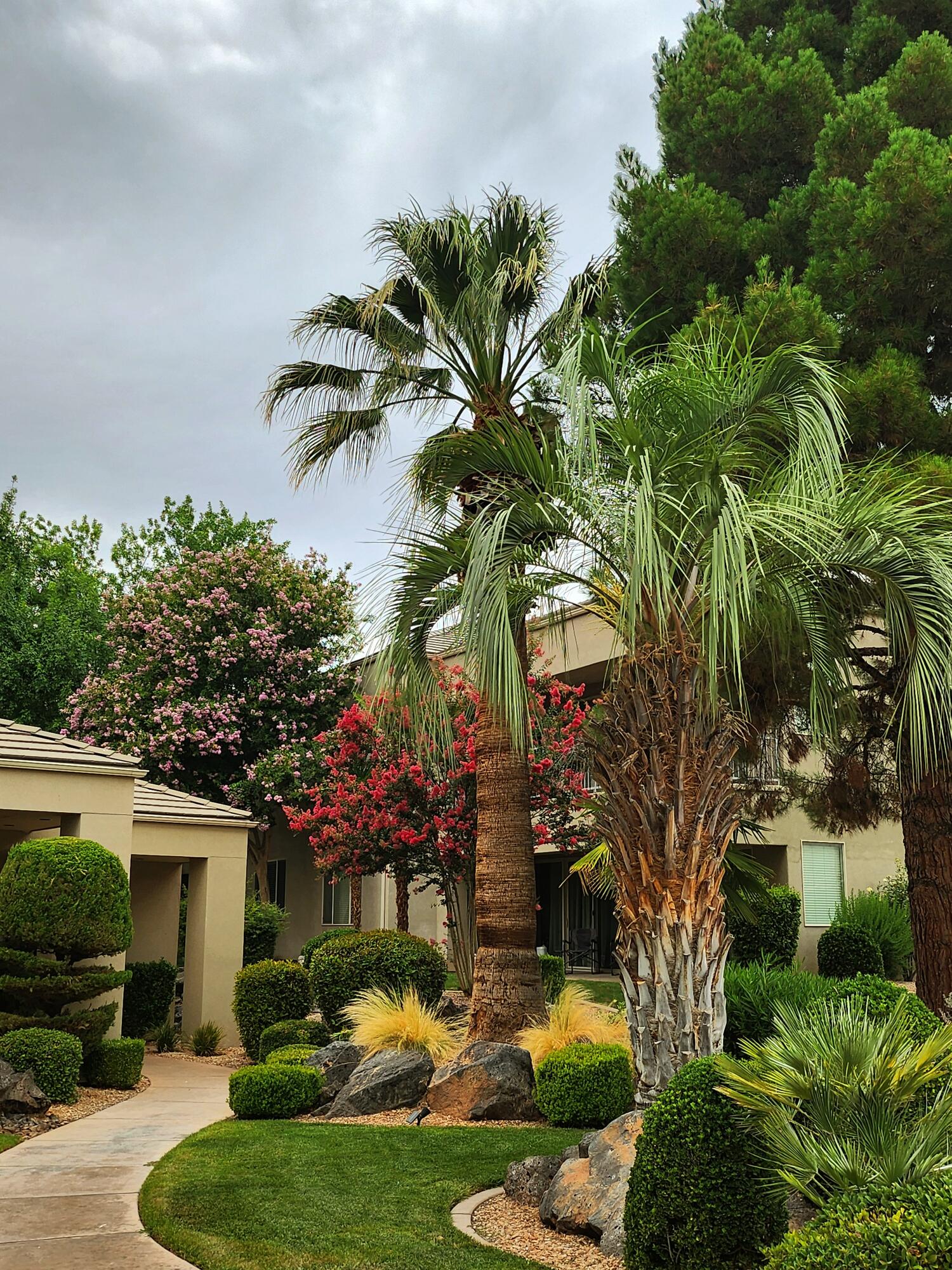 225 N COUNTRY LANE #5