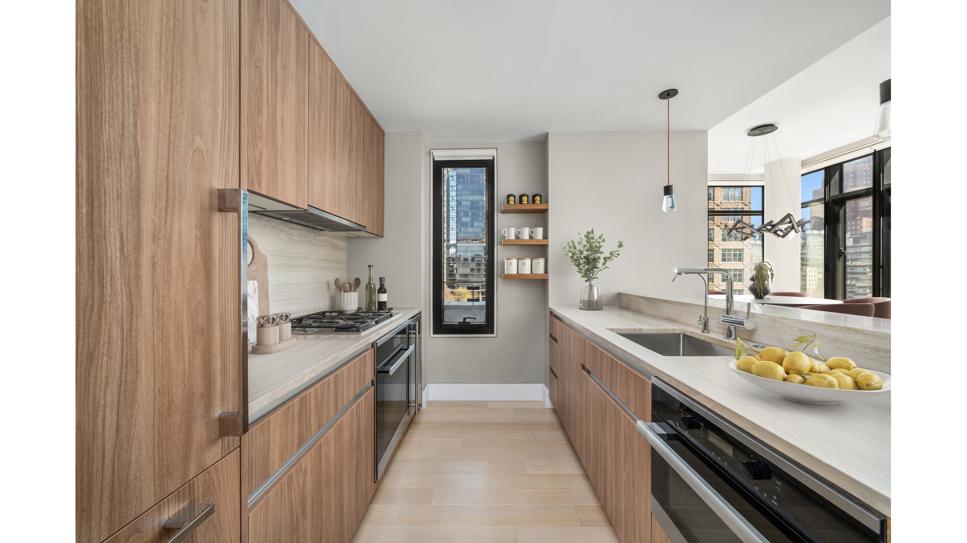 219 HUDSON Street 6D