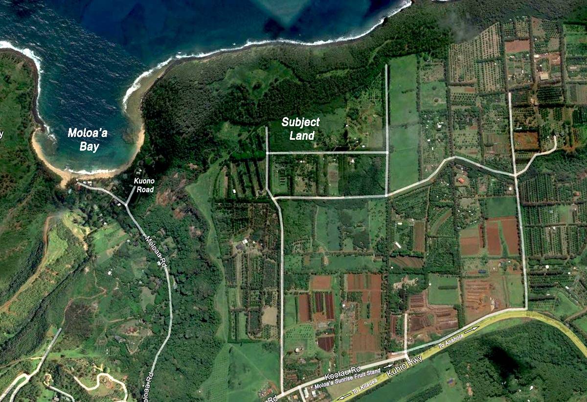 Moloaa
