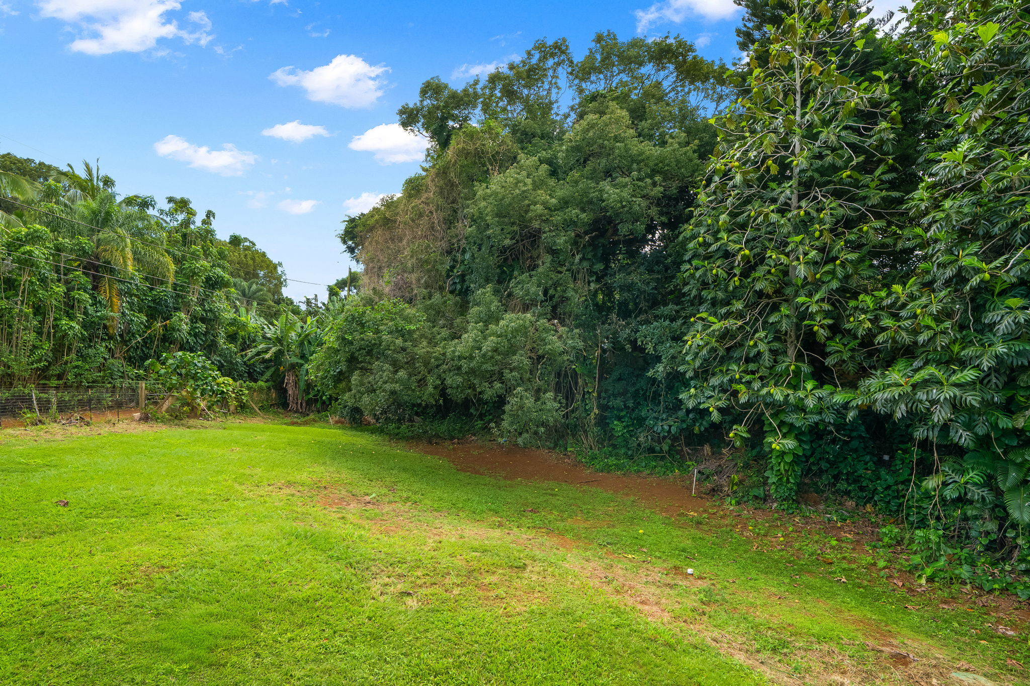 6413-A KAWAIHAU RD 2