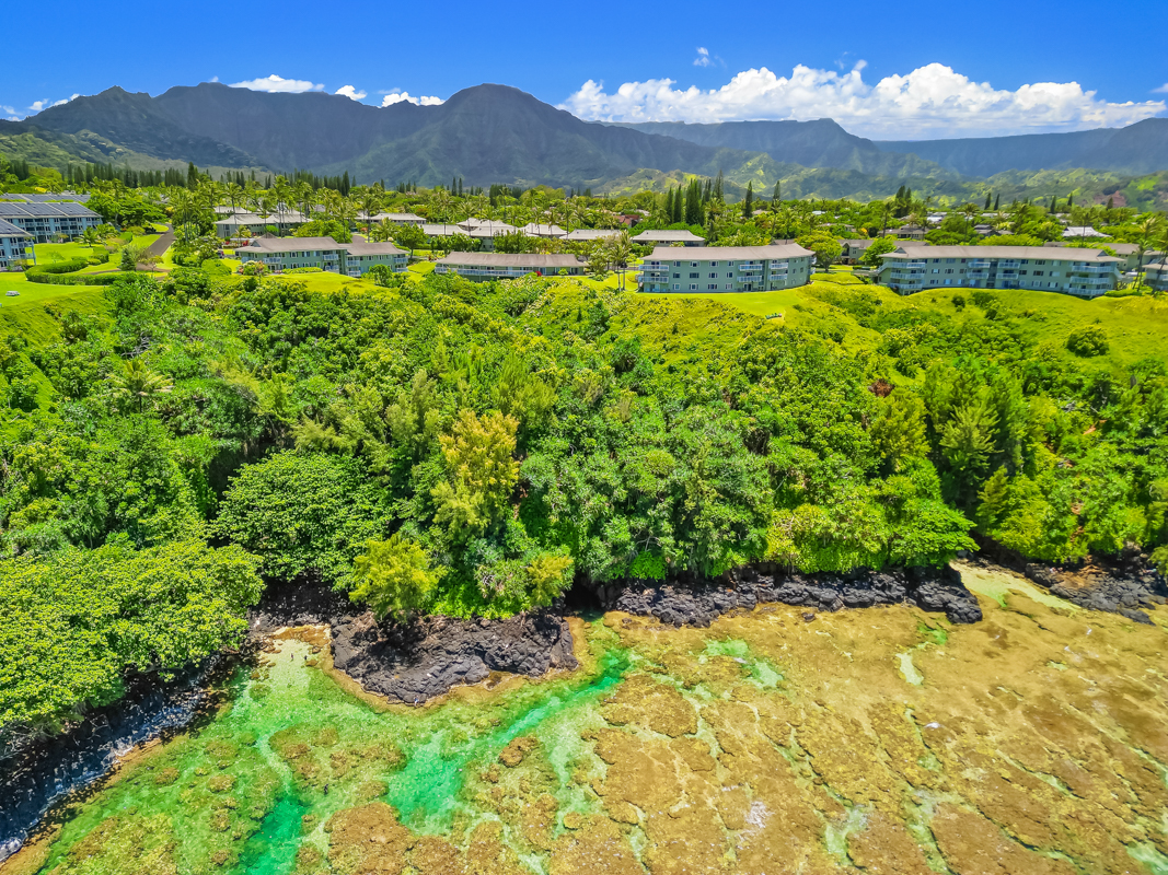 3780 EDWARD RD, #7104 7104