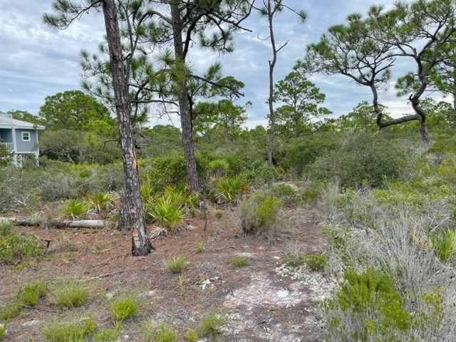 1612 Forsythia Way, St. George Island 32328