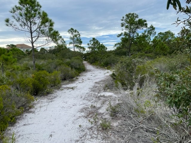 1612 Forsythia Way, St. George Island 32328