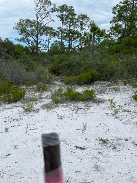 1612 Forsythia Way, St. George Island 32328