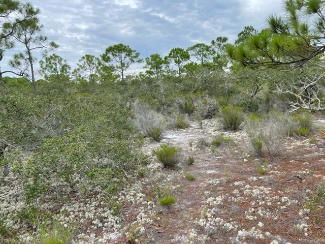 1612 Forsythia Way, St. George Island 32328