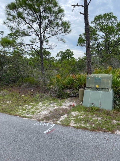1612 Forsythia Way, St. George Island 32328