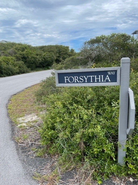 1612 Forsythia Way, St. George Island 32328