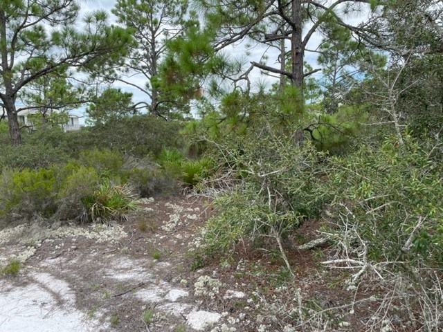 1612 Forsythia Way, St. George Island 32328