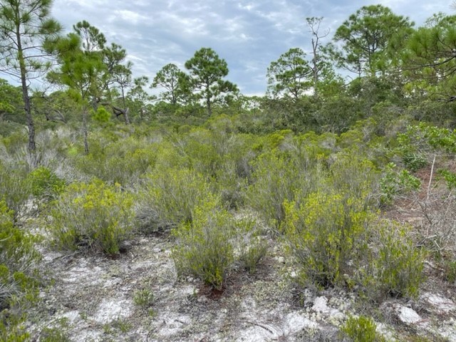1612 Forsythia Way, St. George Island 32328