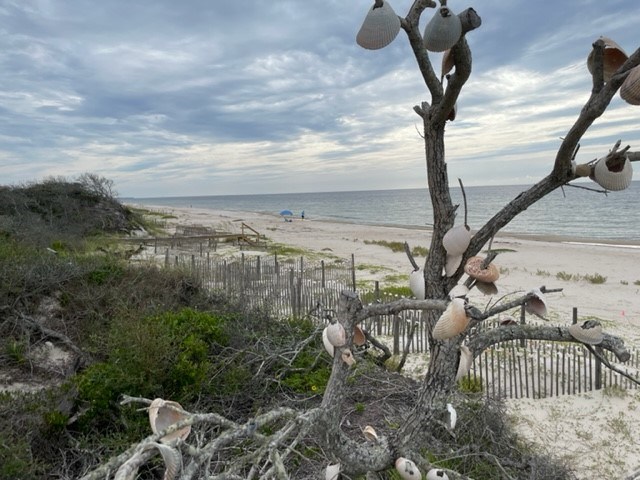 1612 Forsythia Way, St. George Island 32328
