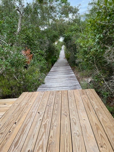 1612 Forsythia Way, St. George Island 32328