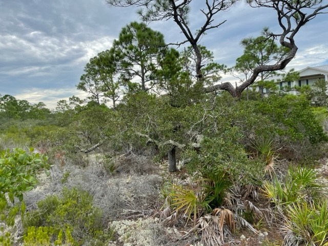 1612 Forsythia Way, St. George Island 32328