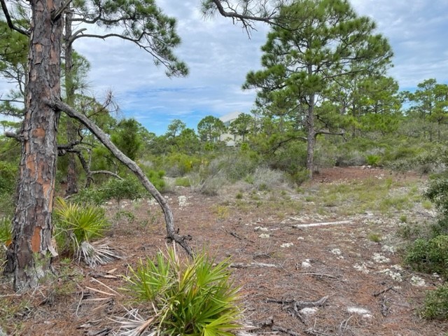 1612 Forsythia Way, St. George Island 32328