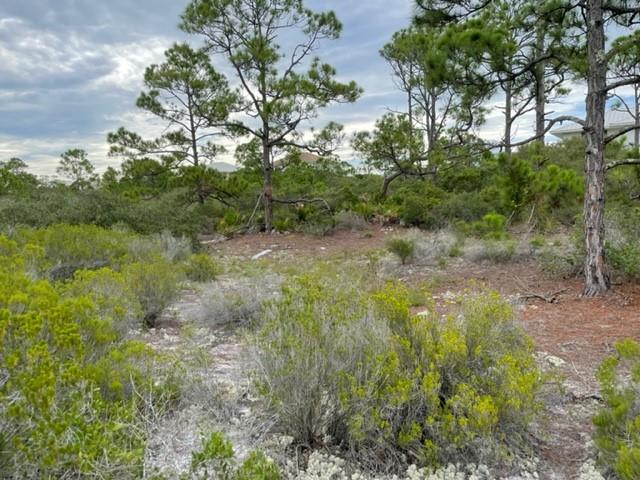 1612 Forsythia Way, St. George Island 32328