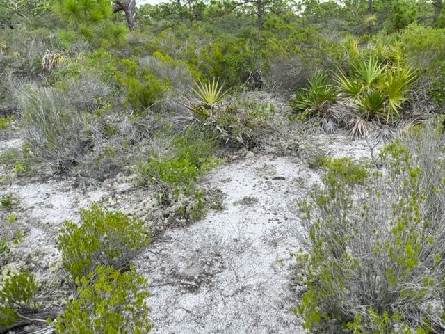 1612 Forsythia Way, St. George Island 32328