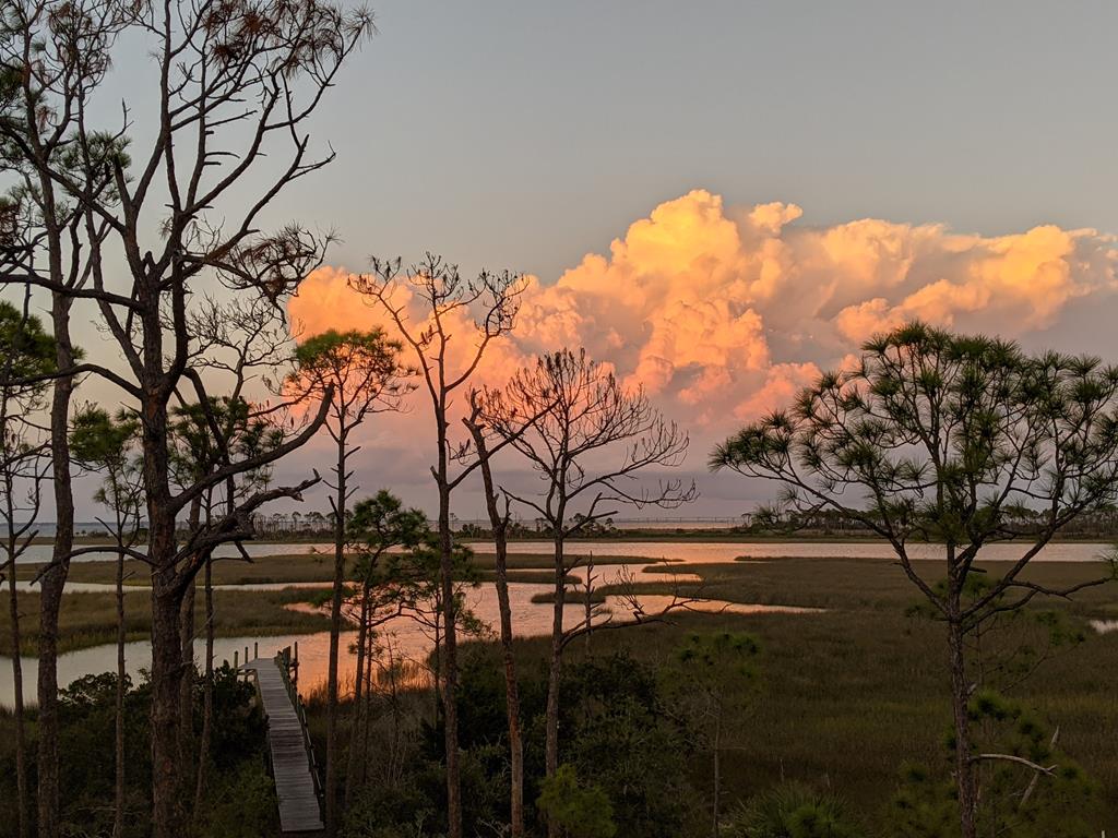 1627 Forsythia Trail, St. George Island 32328