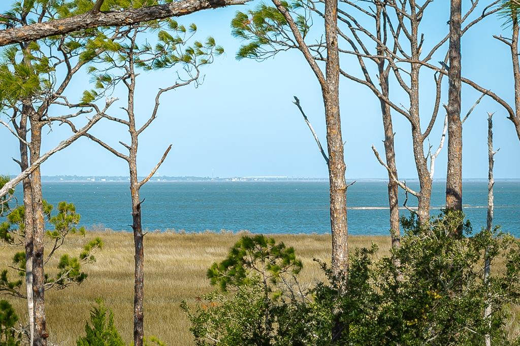 1627 Forsythia Trail, St. George Island 32328