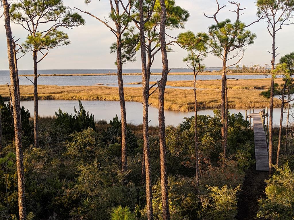 1627 Forsythia Trail, St. George Island 32328
