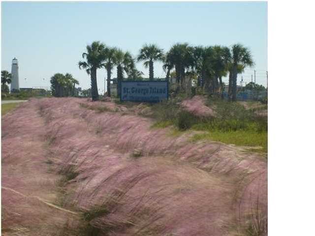981 E Gorrie Dr, St. George Island 32328